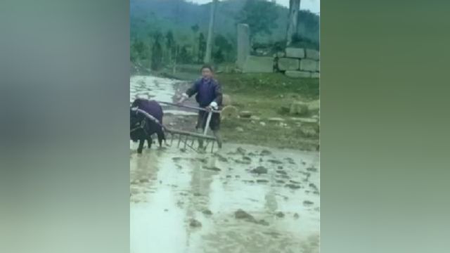 你知道清朝人如何种地吗?这段珍贵影像,告诉你答案!