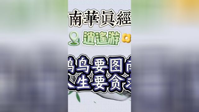 鹏鸟要云往南方人生也是贪求过多