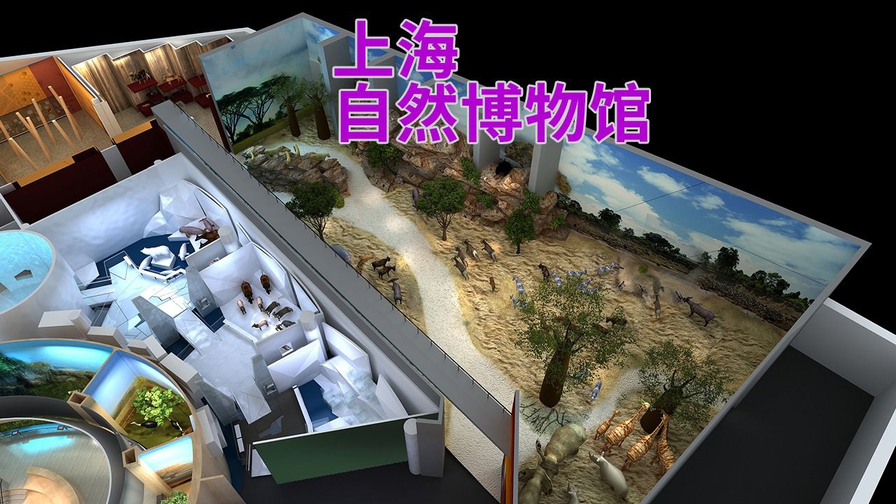 上海自然博物馆