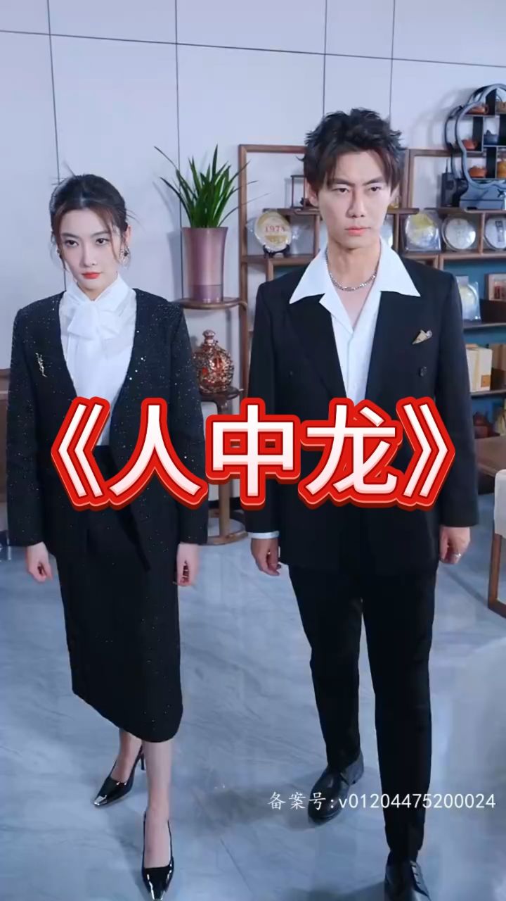 《人中龙》11-20集 大结局 全集