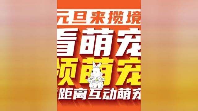 揽境萌宠乐园 元旦开园~