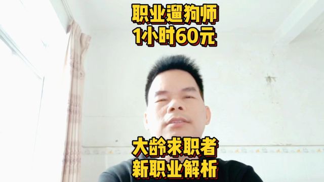 大龄求职者新职业解析:职业遛狗师1小时60元,同时遛10条,1小时可以赚600元