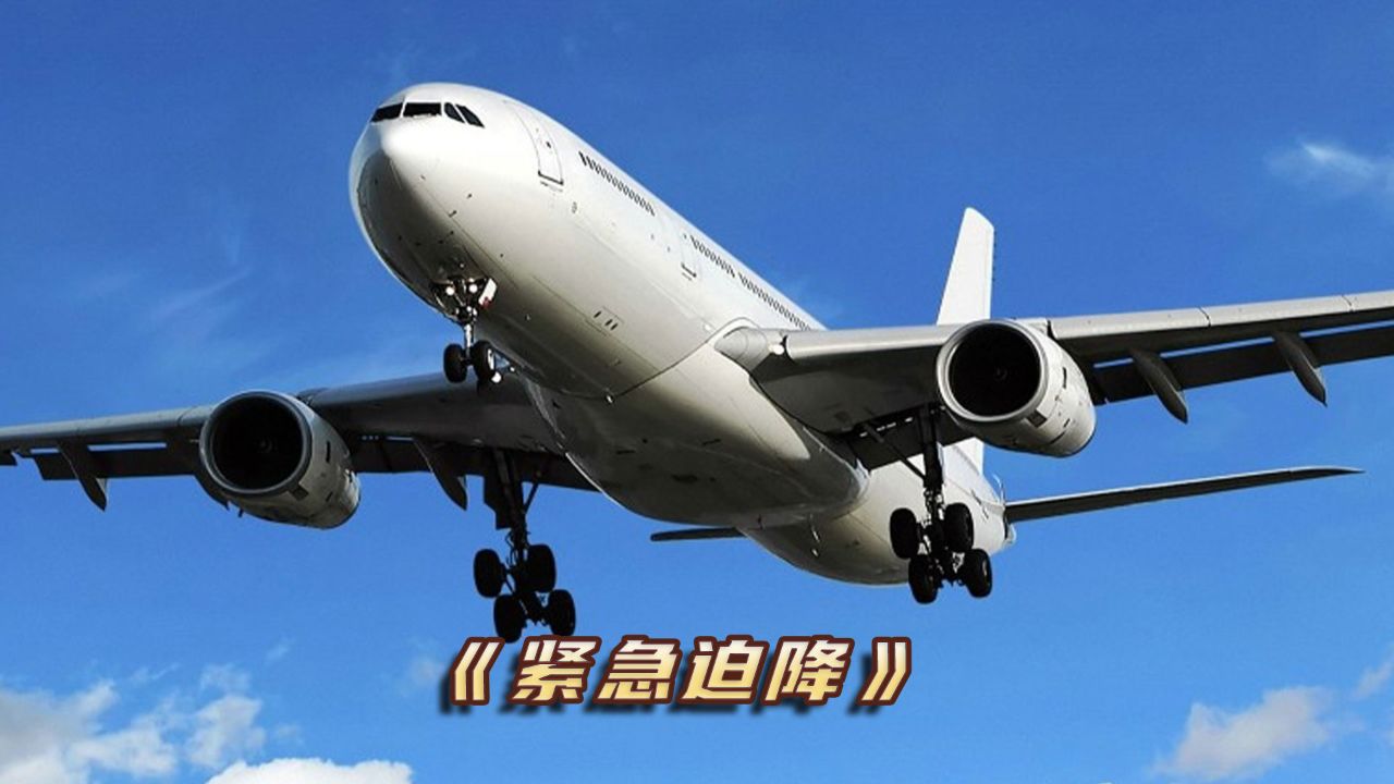 飞机发生故障,空姐要求乘客脱掉丝袜,随时准备迫降