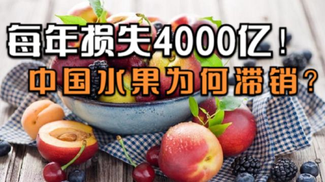 年损失4000亿!百吨水果被积压、中国水果为何滞销?