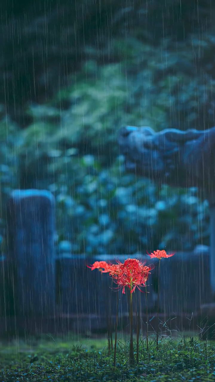生此岸,长彼岸, 守望一世手难牵. 纵然花叶两不见, 入骨相思在忘川.