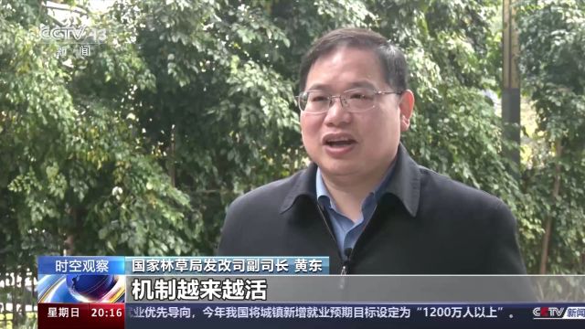 发放林权证、放活商品林采伐 集体林权制度改革取得了这些新成果→