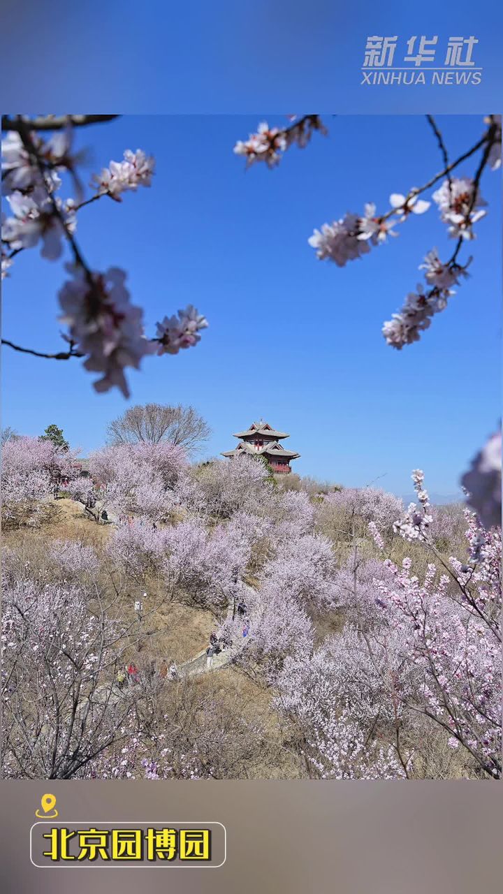 北京园博园春色烂漫