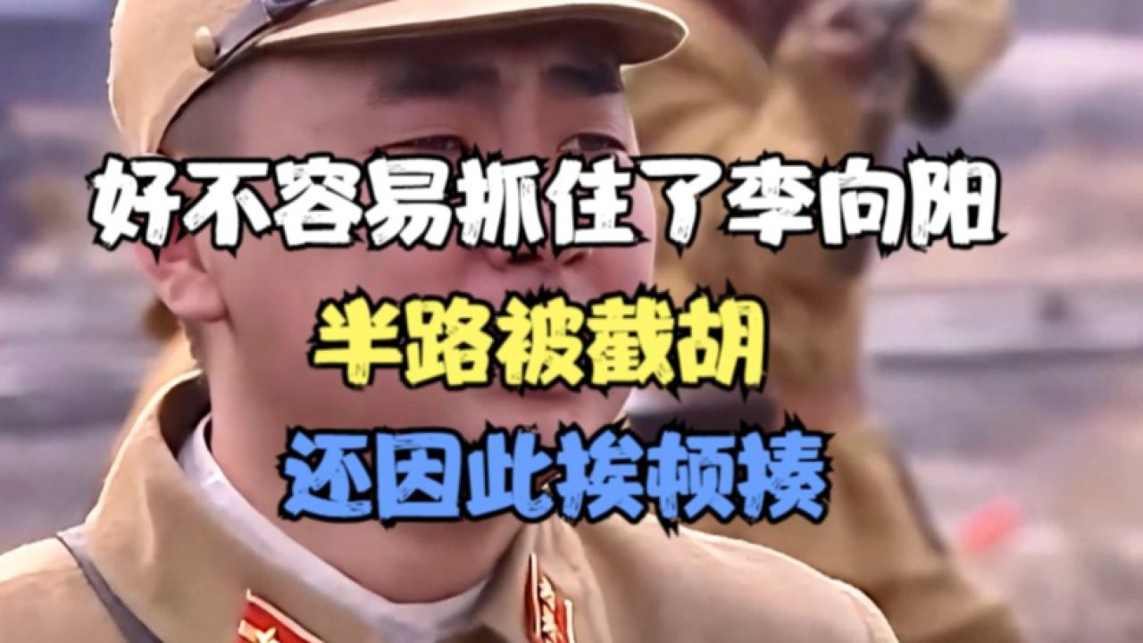 好不容易抓住李向阳却被半路截胡还因此挨顿打