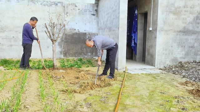 庭院小聚,你谈往时,我谈往事