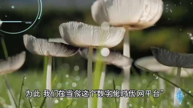 中国食用菌网平台诚邀共享