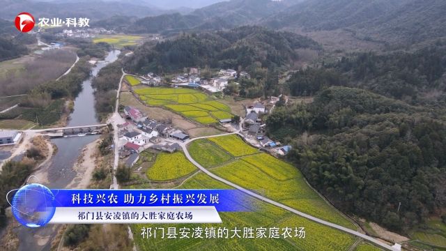 祁门县安凌镇大胜家庭农场