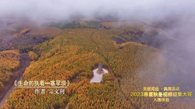 “美丽河北 ⷠ共同见证”2023春夏秋冬视频征集大赛入围作品展播(5)|《生命的执着—塞罕坝》