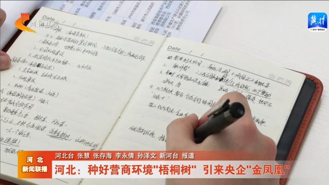 河北:种好营商环境“梧桐树” 引来央企“金凤凰”