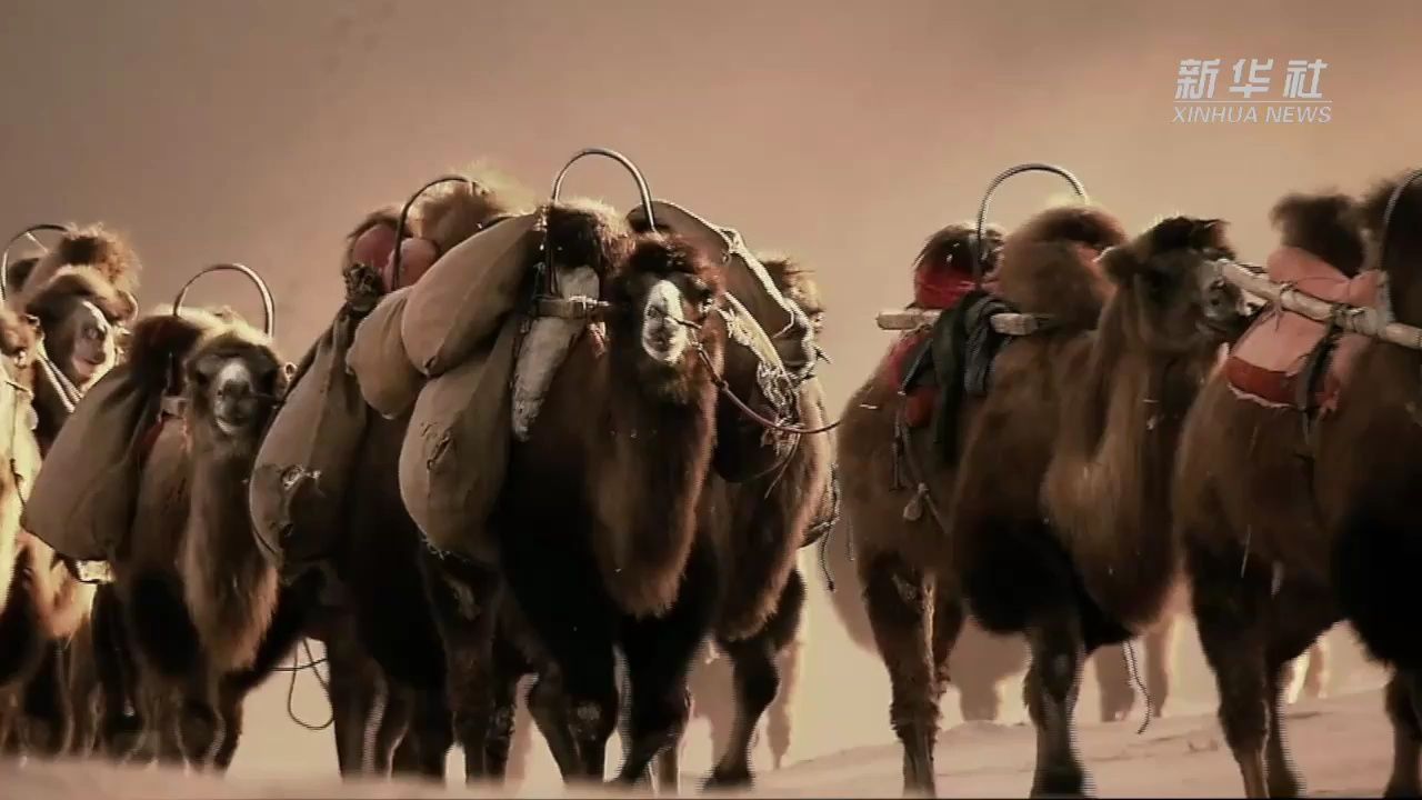 "新丝路"也是一条"文化丝路"