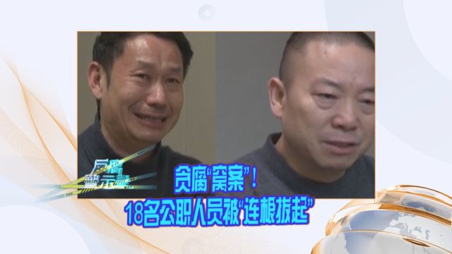 贪腐“窝案”!18名公职人员被“连根拔起”