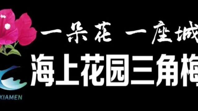 惊艳!厦门市花在广州塔400多米高空绽放!