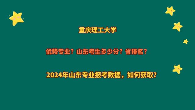 重庆理工大学,山东考生多少分?2024山东专业报考数据,如何获取