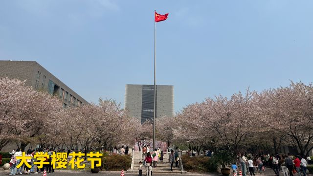 大学樱花节