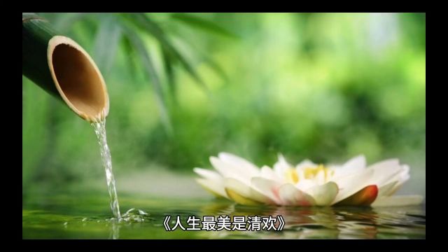 《人生最美是清欢》 人生路上独自行,云涌人海头脑清.花开花落皆无意,