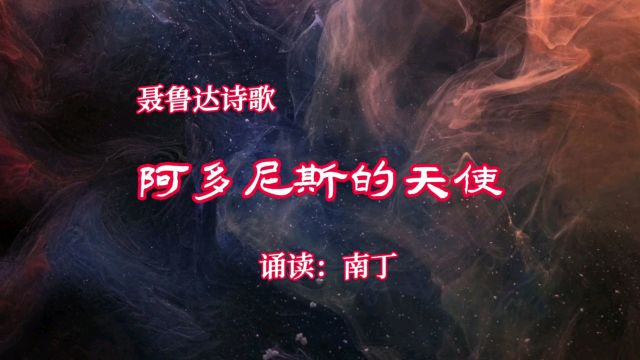 聂鲁达诗歌《阿多尼斯的天使》诵读:南丁