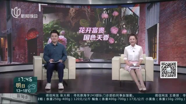 秋霞圃牡丹赏花季开启 国色天香迎客来