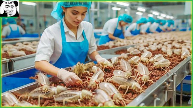 昆虫饲养:蟋蟀养殖新商机未来食物新选择!