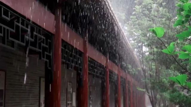 一首《听雨》愿雨调风顺,守一场清雅心境!