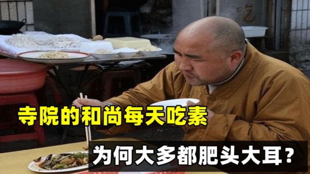 寺院的和尚每天吃素,为何大多都肥头大耳?看看他们的伙食就懂了