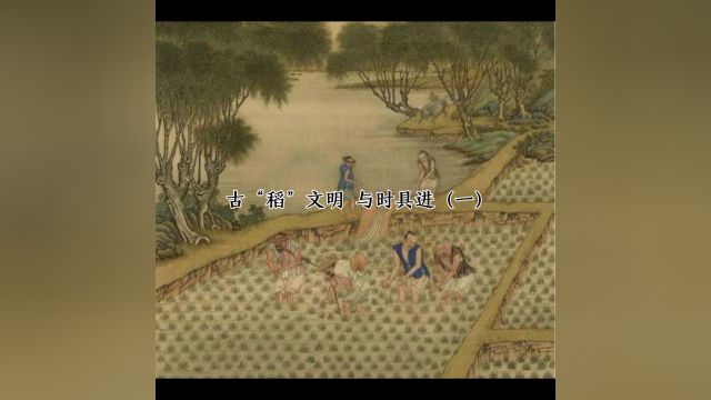 古“稻”文明 与时俱进