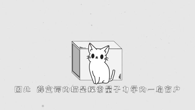 薛定谔的猫:揭示量子世界的思想实验