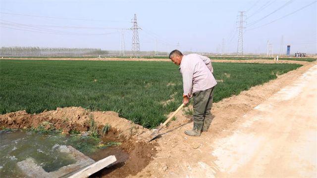 东营市广饶县:建设高标准农田1.8万亩 夯实乡村振兴耕地基础