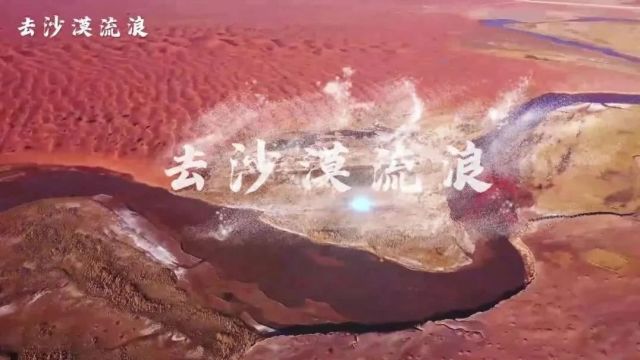 “阿克苏是个好地方ⷥ››季之美”——《去沙漠流浪》