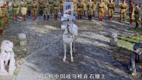 一匹有着民族血性的白色战马，宁死不向日军屈服下跪