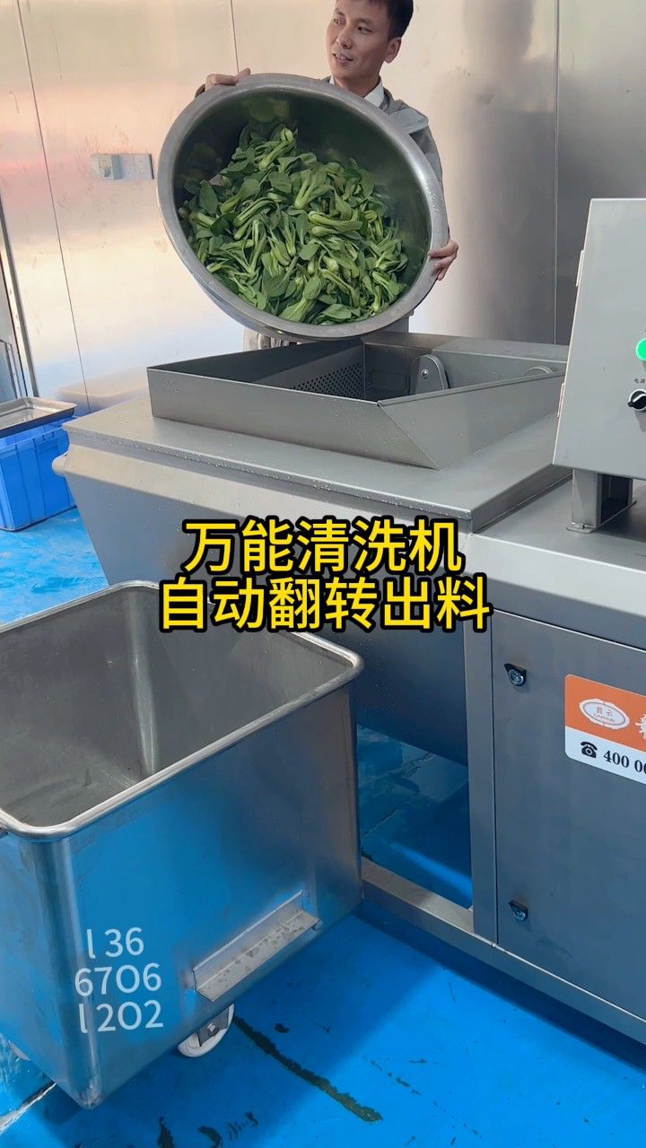 万能清洗机自动洗菜机中央厨房设备