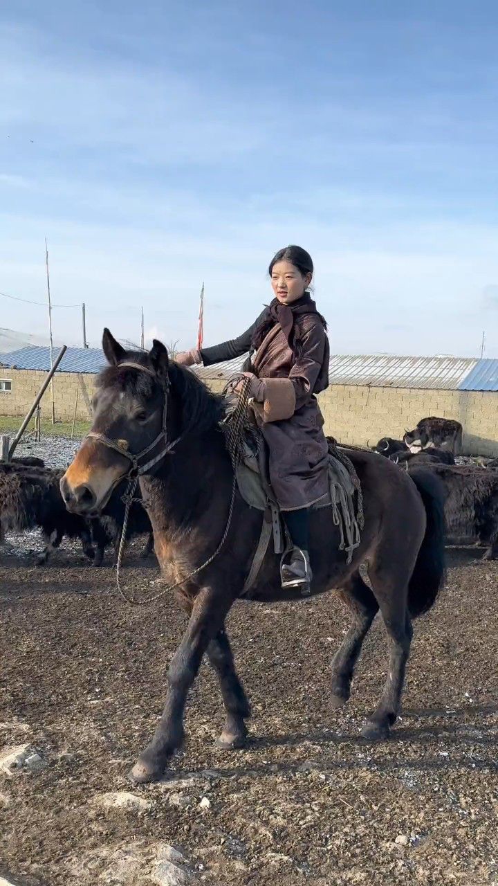 大草原看流星,遇牧区姑娘放牦牛,她教我骑马,帮我搭帐篷