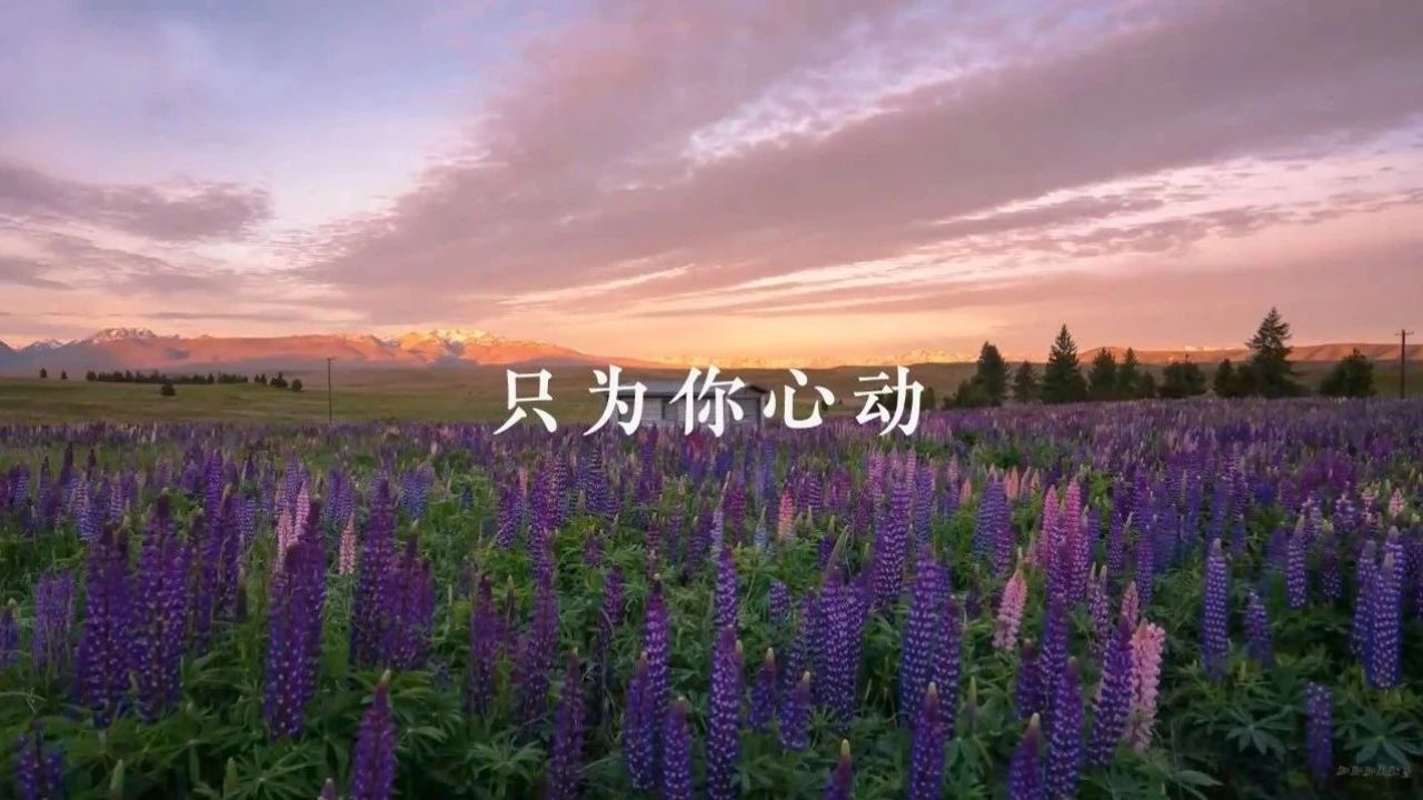 一首十分好听的纯音乐,轻松舒缓的旋律,让人特别舒心!_高清1080P在线观看平台_腾讯视频