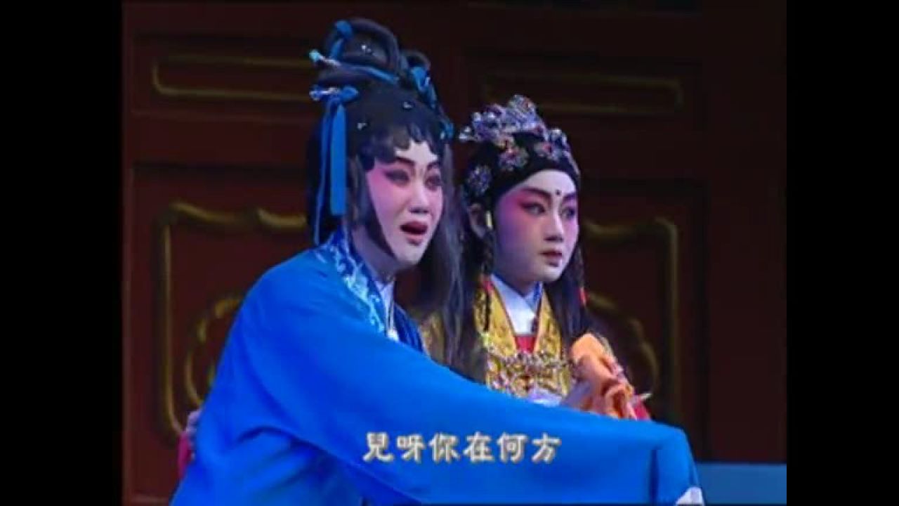 狸猫换太子(2)---丁凡 蒋文端 麦玉清