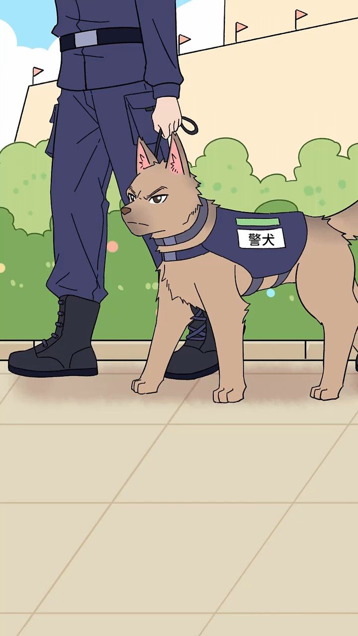 福仔:我虽然腿短,但我也能当一名好警犬!