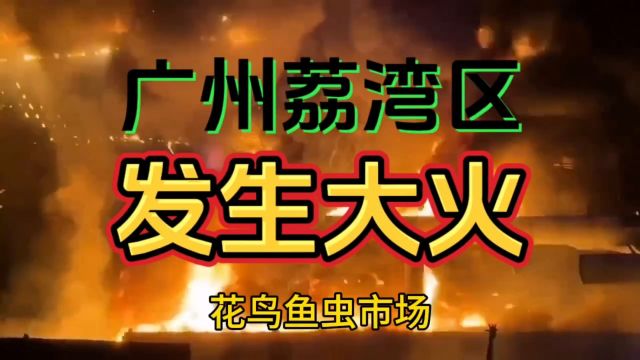 广州荔湾区花鸟鱼虫市场发生火灾事件