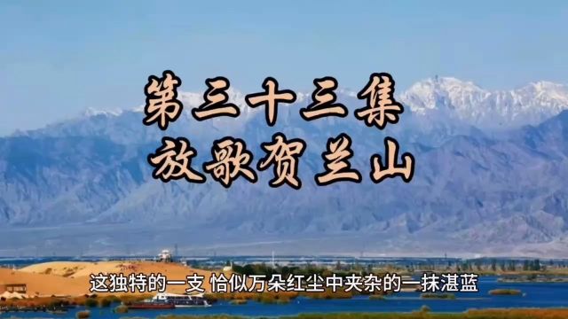 多彩中国《第二十三集 放歌贺兰山》