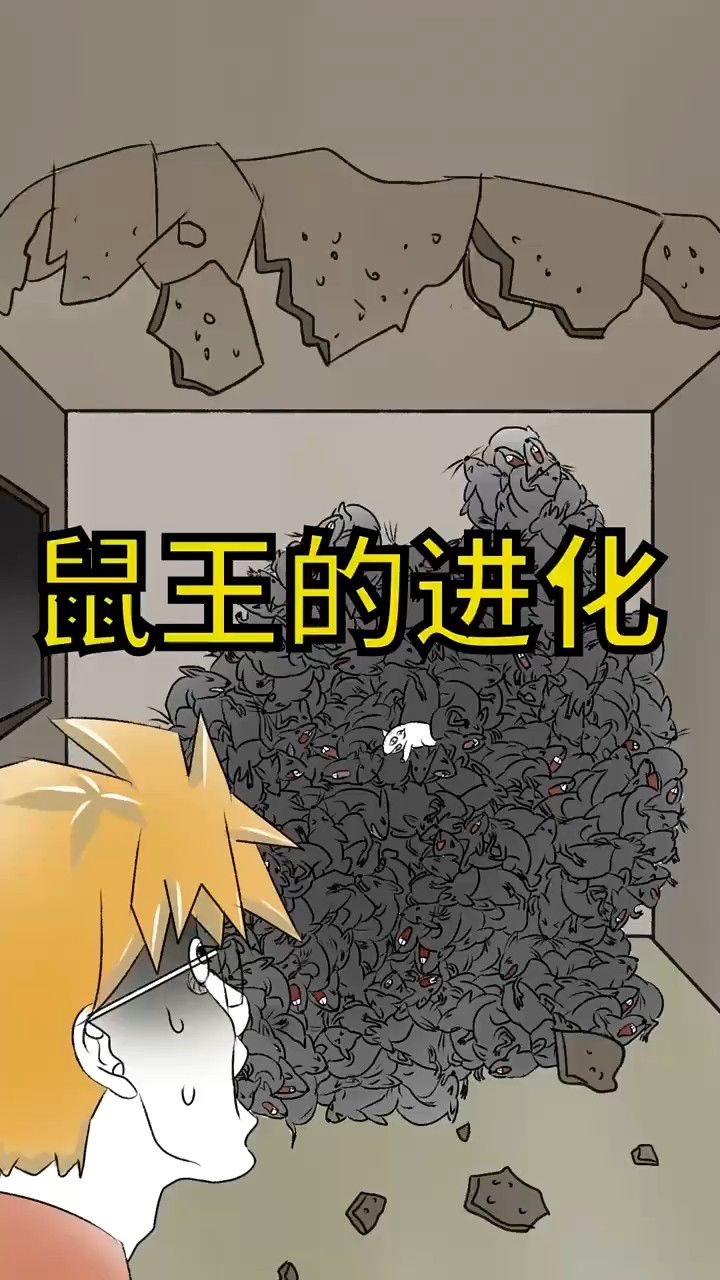 鼠王的进化!