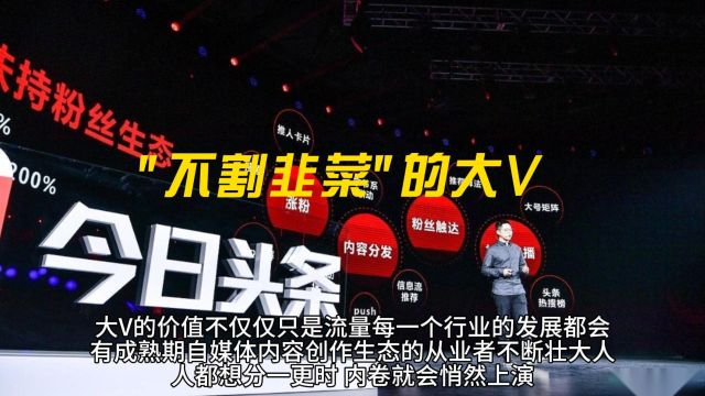 不割韭菜的大V:坚守诚信,用专业实力赢得粉丝信赖