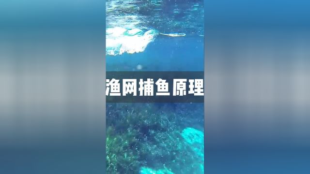 各种类型渔网捕鱼原理捕鱼手抛网刺网拖网涨知识