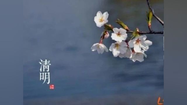 “清明节”英语怎么说?