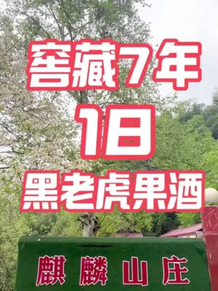 黑老虎果酒,你喝过吗?