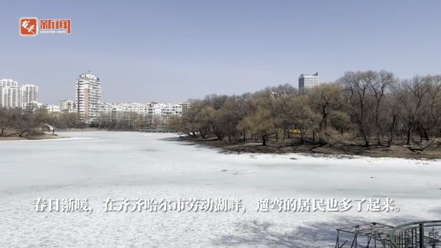 五星级幸福河湖啥样?来鹤城劳动湖看看→