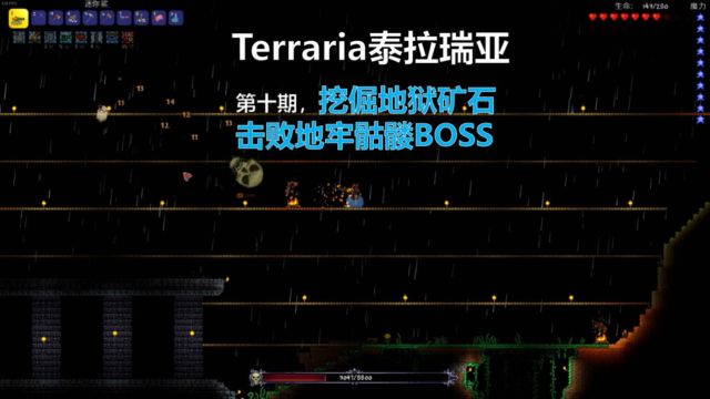 《Terraria泰拉瑞亚》专家模式新手教学.10