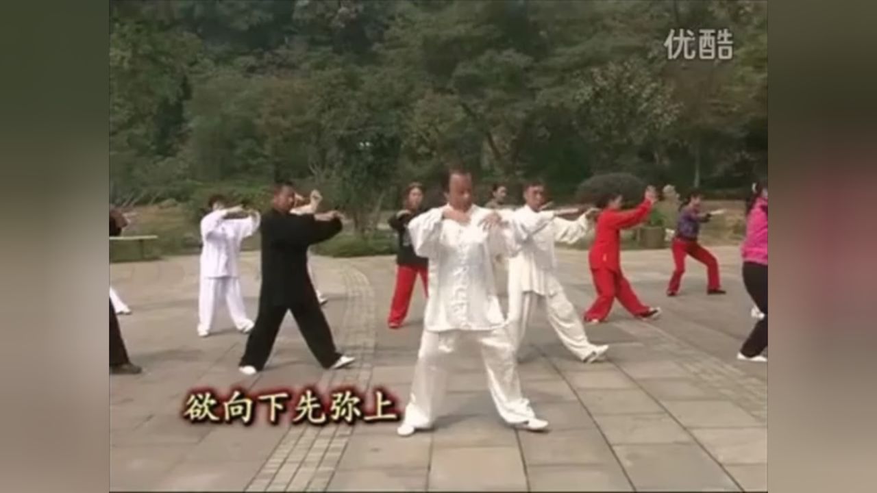 武当太乙游龙拳分解教学 4【4,白猿献果 5,金鸡斗蟒 6,送鸟上林】