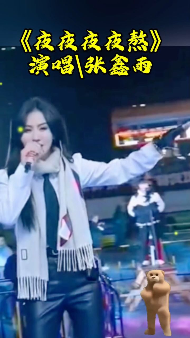 《夜夜夜夜熬》演唱张新雨