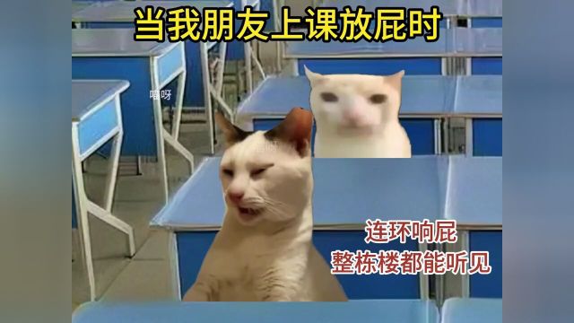 #猫咪表情包#校园生活#人间真实#学校日常